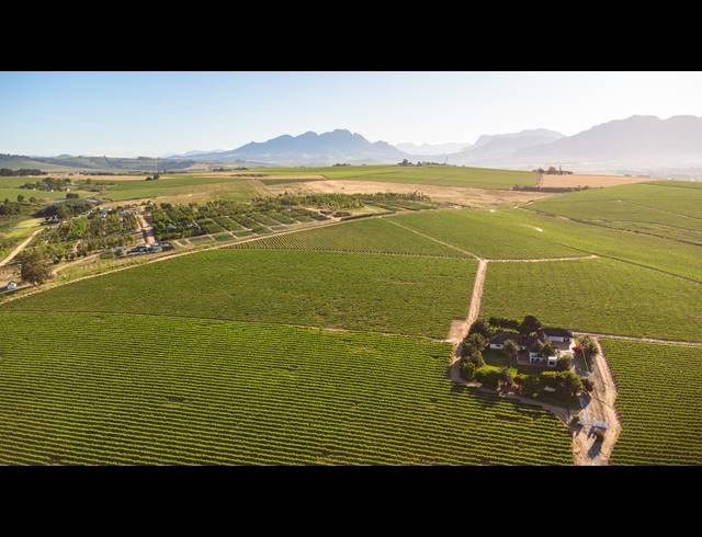 94HA FARM FOR SALE IN STELLENBOSCH FARMS